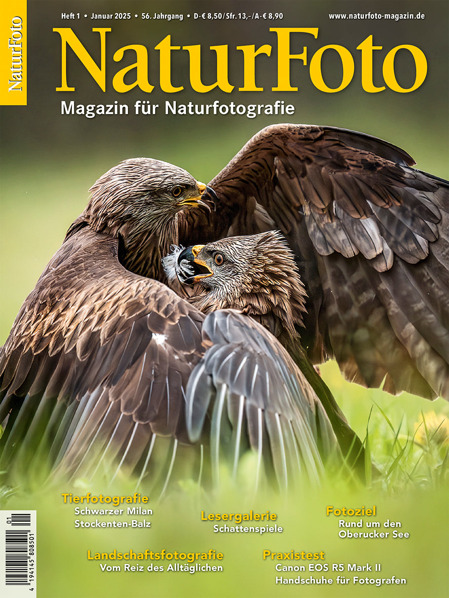 NaturFoto 1/2025
